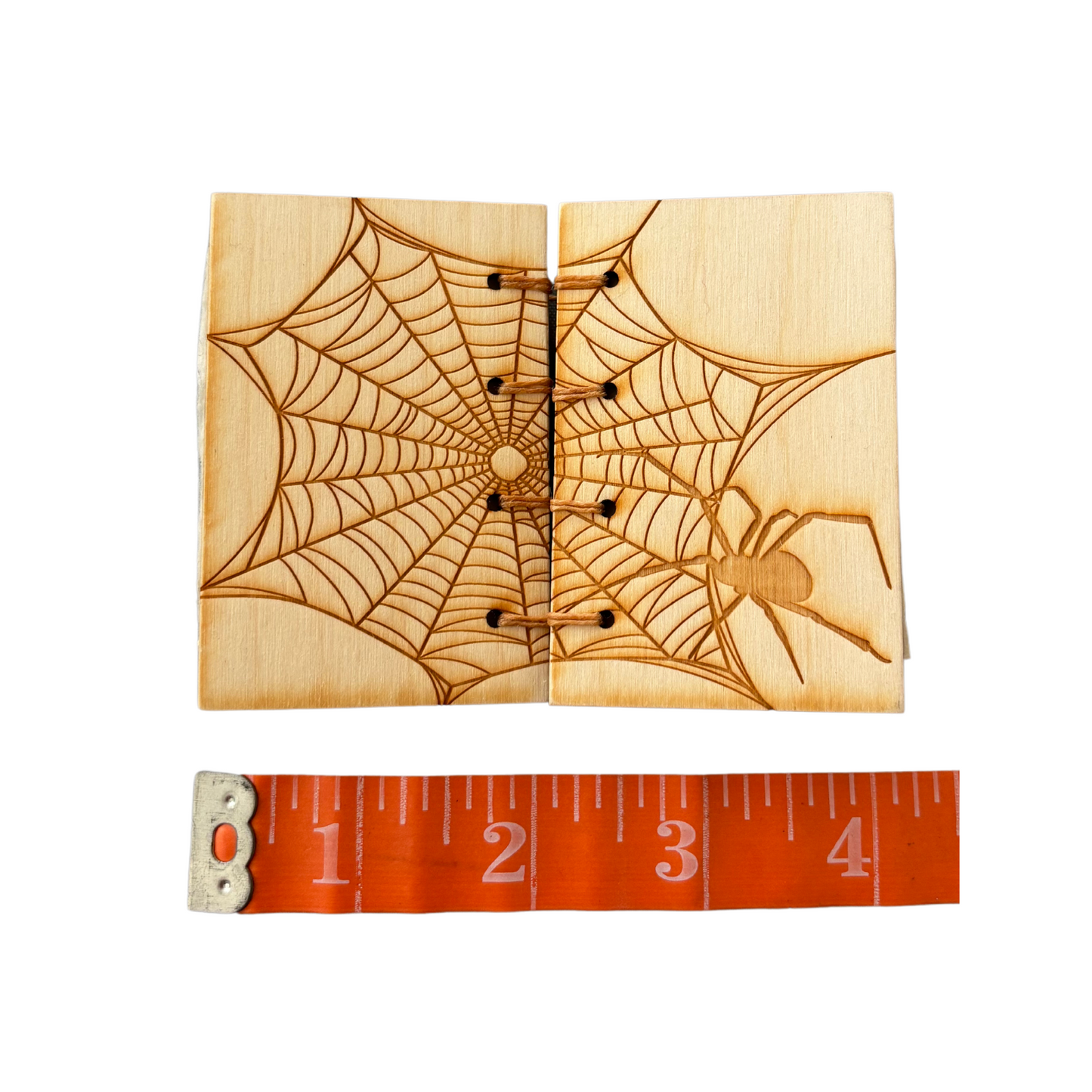 Spider Web Book