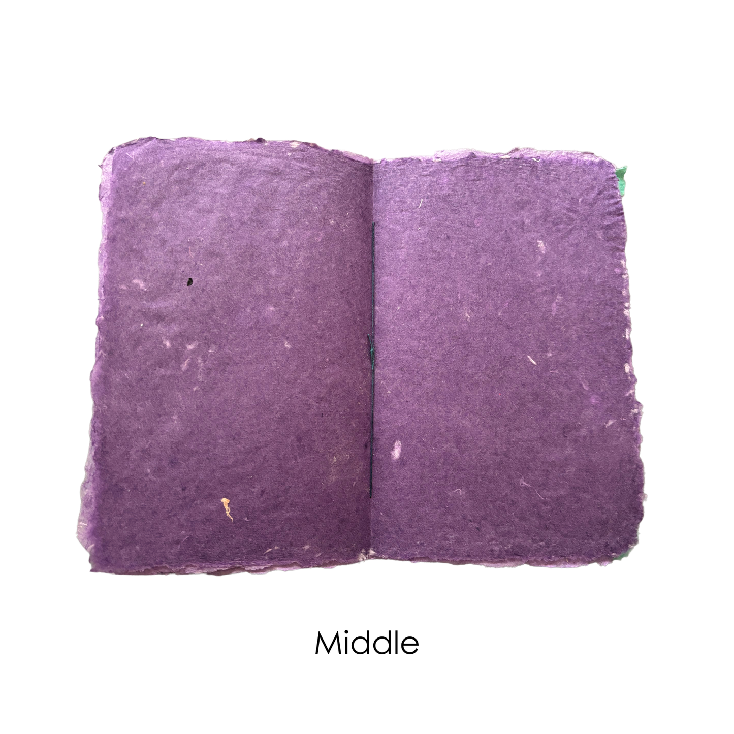 Handmade Paper Booklet - Sully from Monsters Ink